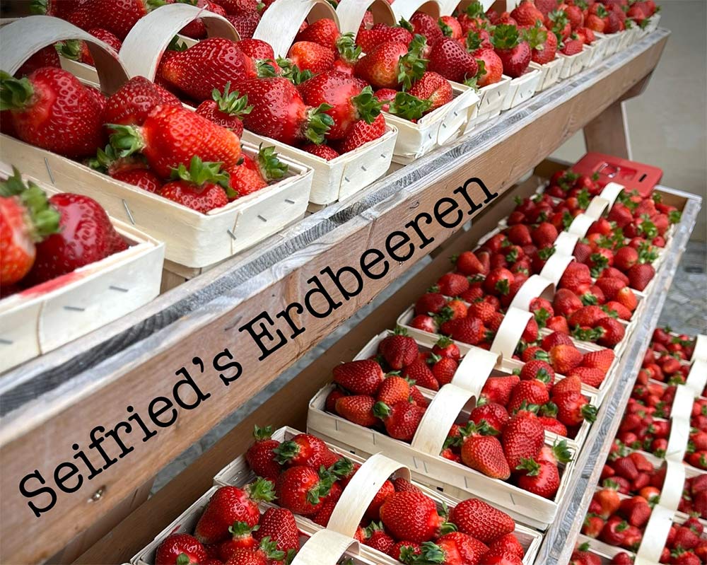 Erdbeeren - Seifried Biohof - Blumen Schuller